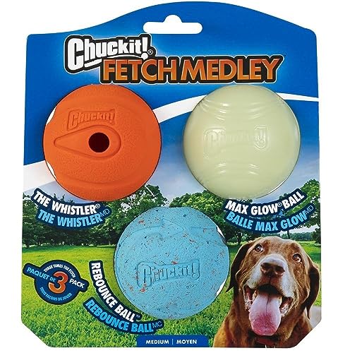toys for dogs