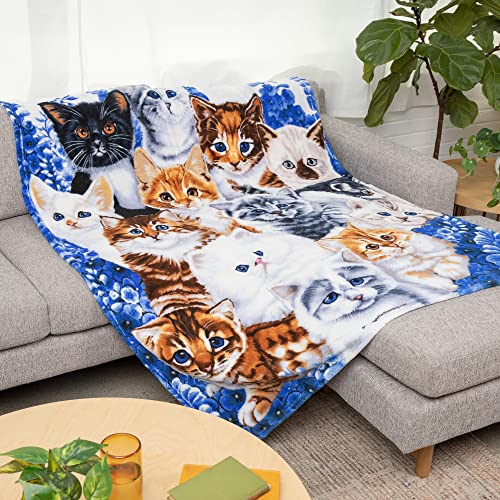 cat blanket