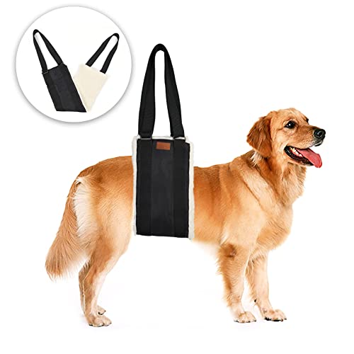 dog sling carrier