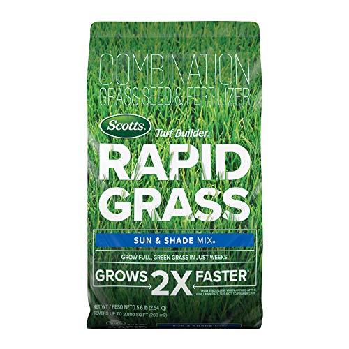 Scotts Builder Rapid Grass Shade