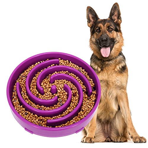 slow feeder dog bowl